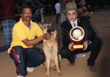 Dog Show